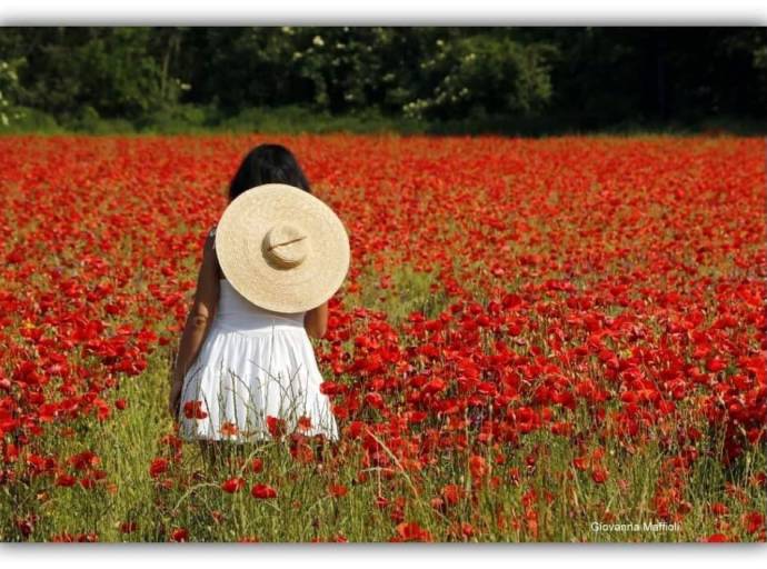 Il lampo di una risata. Tra ostacoli e dilemmi, la forza di affrontare la vita con leggerezza e ironia
